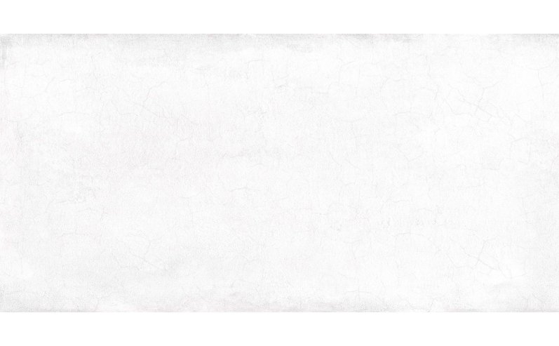 24331_large.jpg