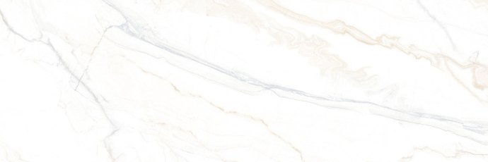24340_large.jpg