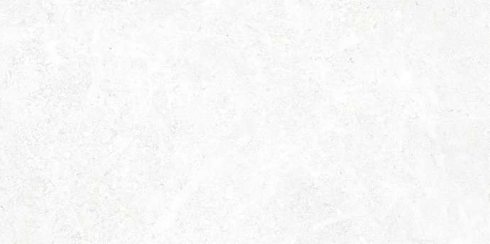 24478_large.jpg