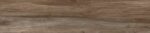 26534_large.jpg