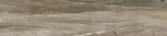 26549_large.jpg