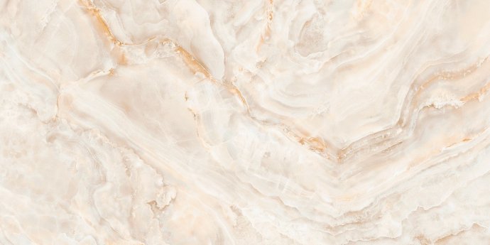 31019_large.jpg