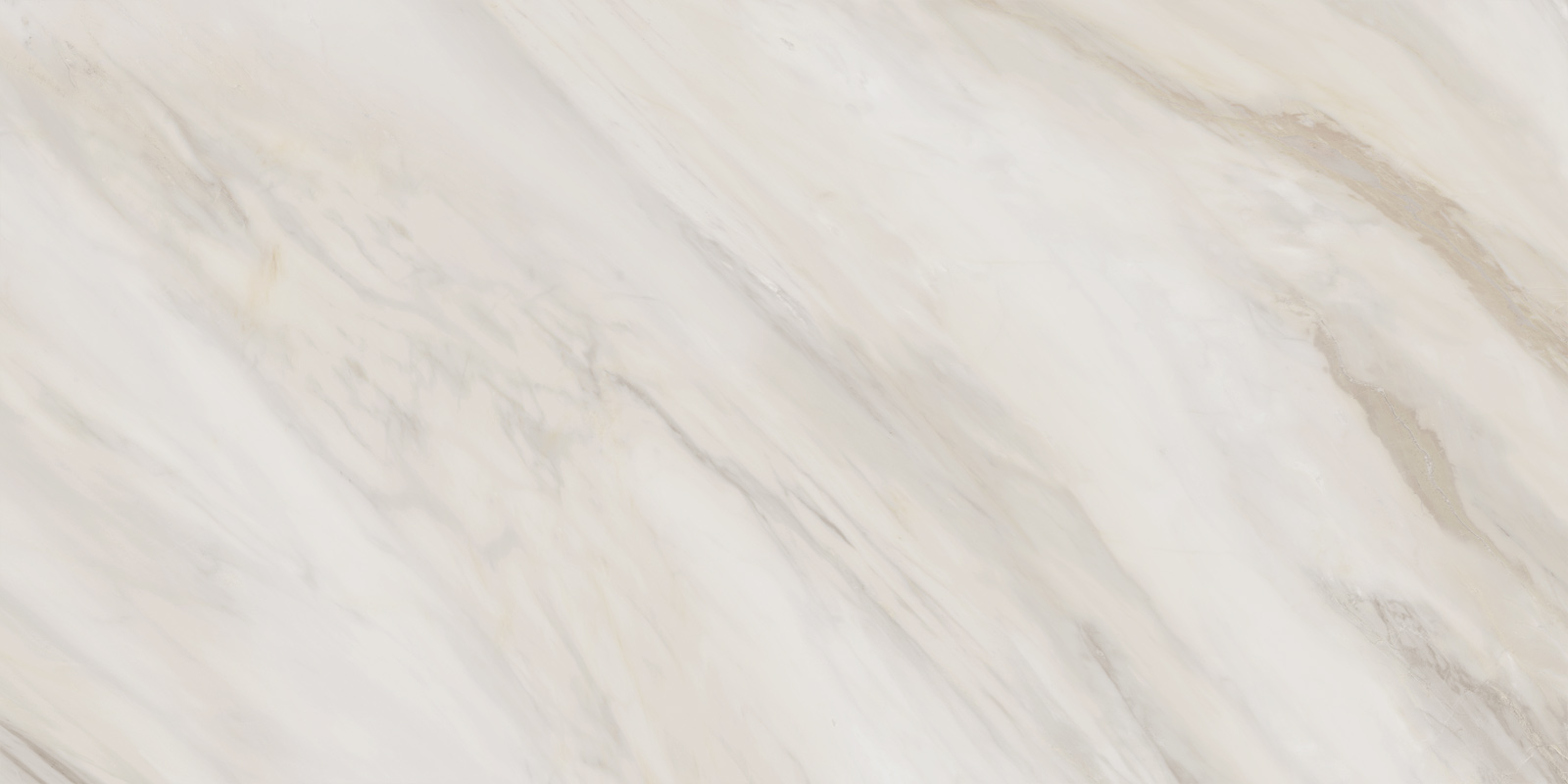 60120caa01_04.jpg