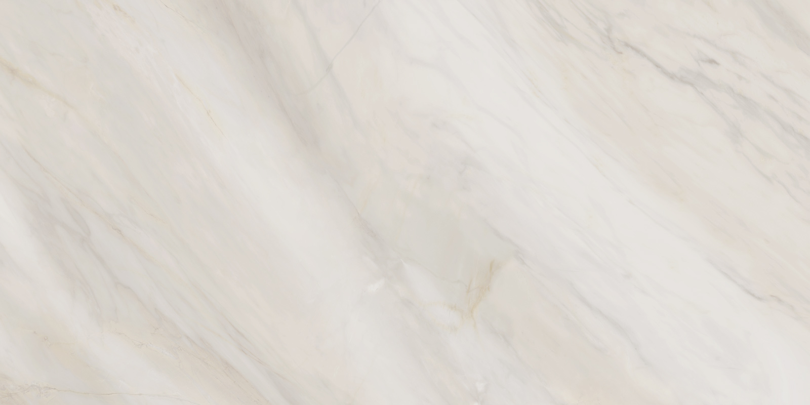 60120caa01_07.jpg