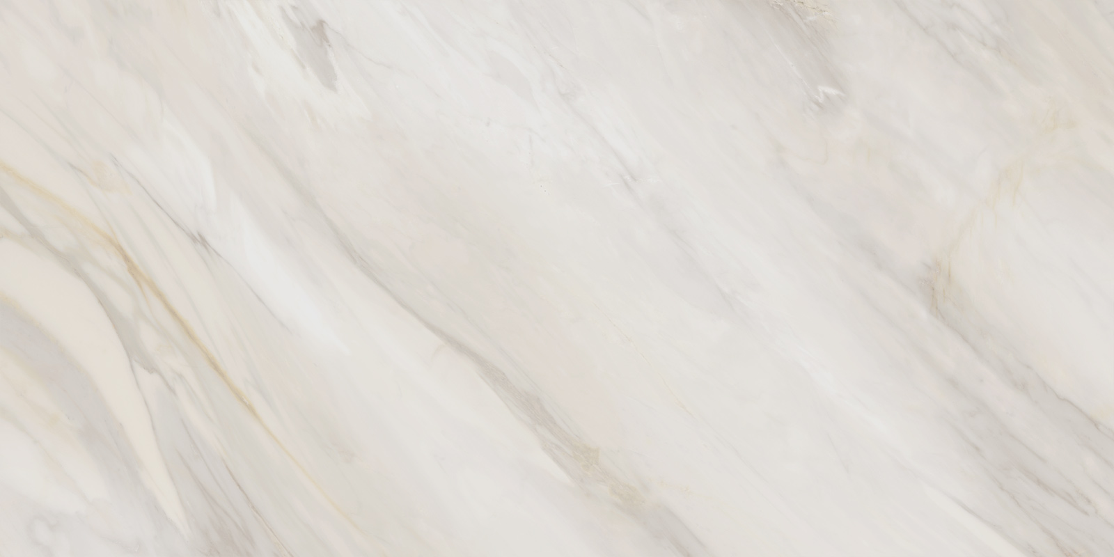 60120caa01_09.jpg