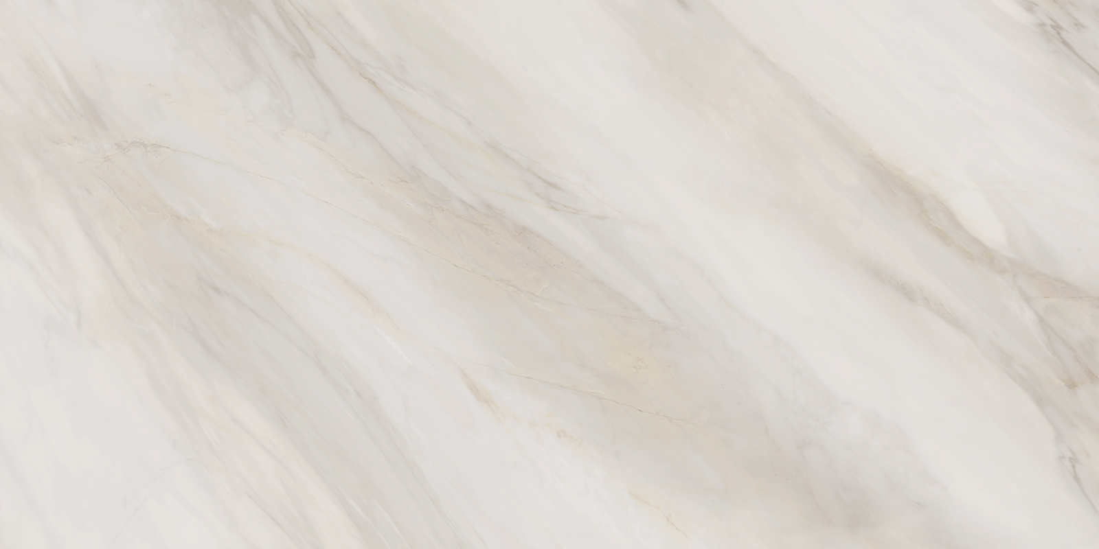 60120caa01_10.jpg