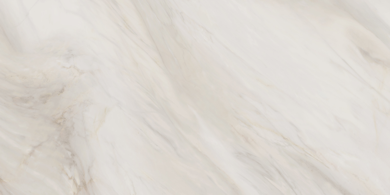 60120caa01_11.jpg