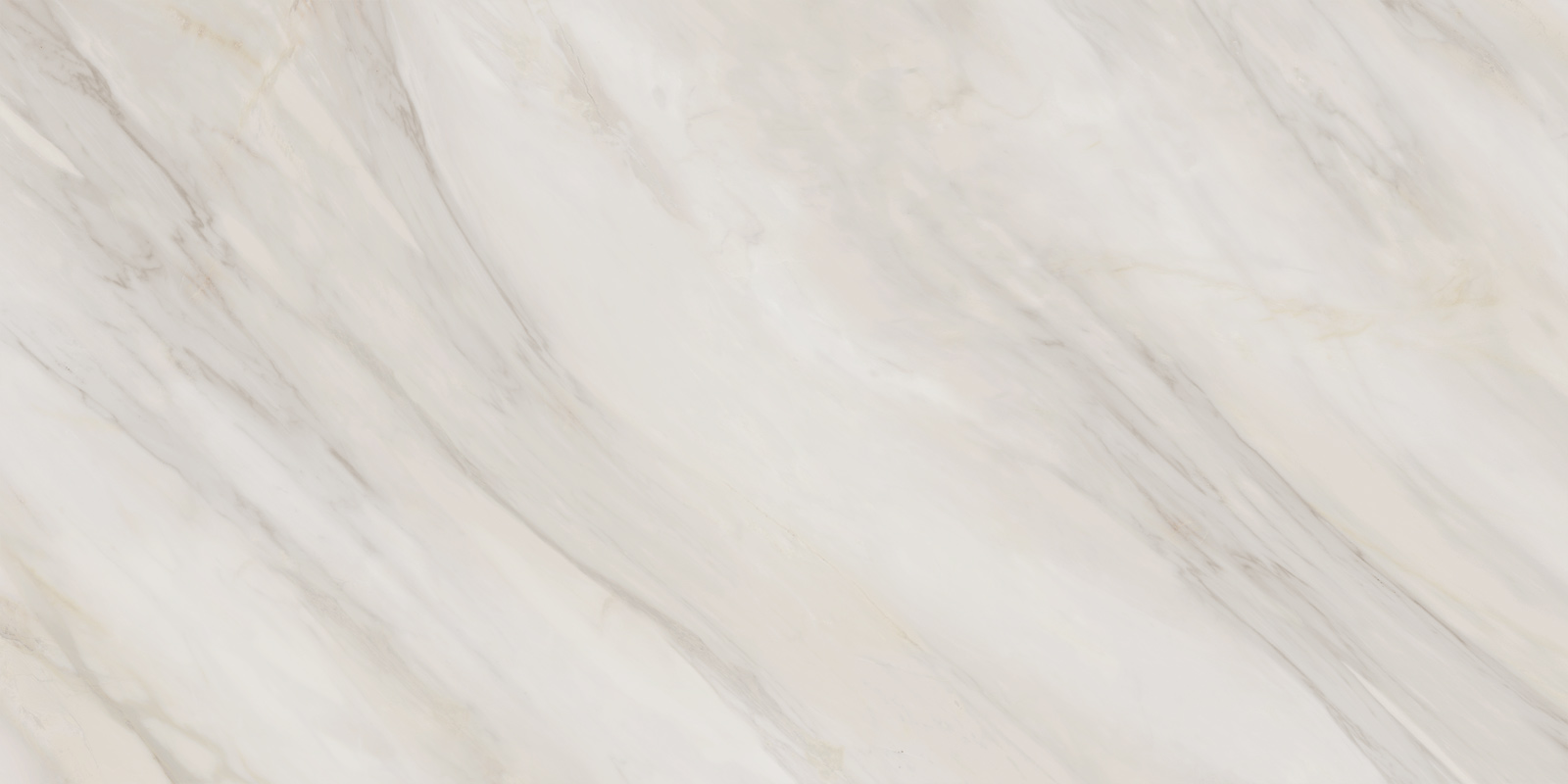 60120caa01_12.jpg