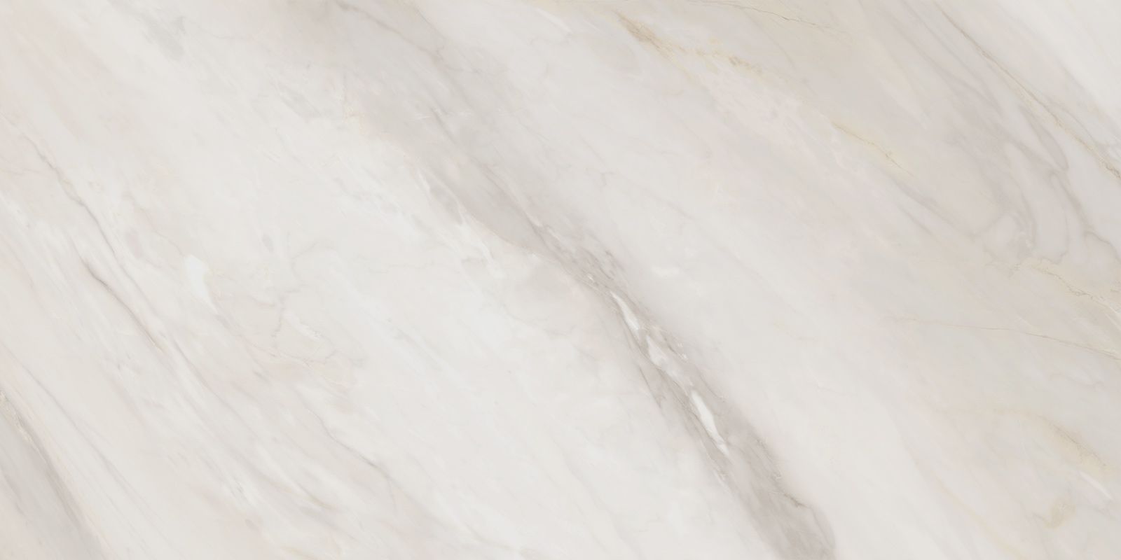 60120caa01_14.jpg