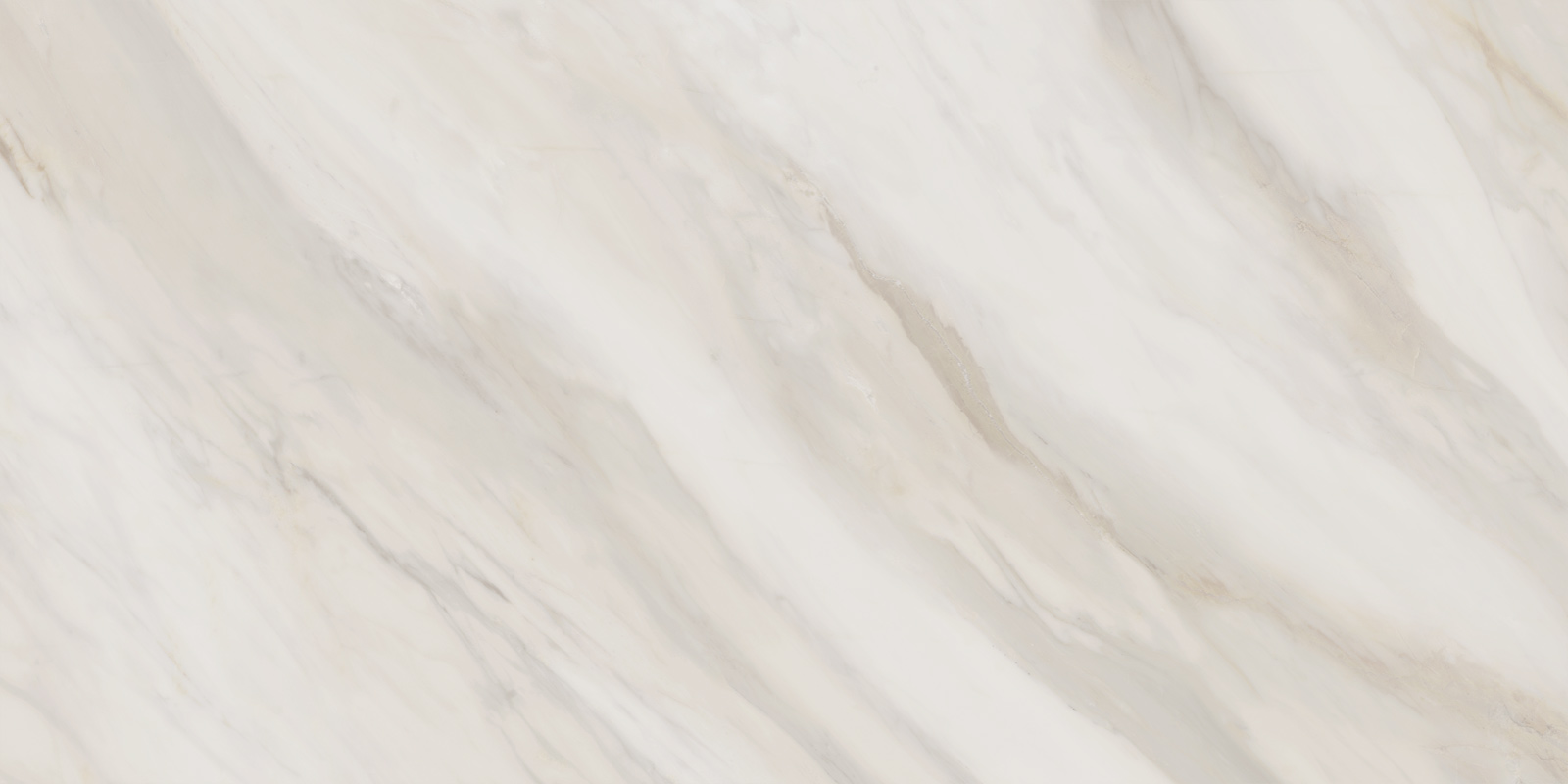 60120caa01_15.jpg
