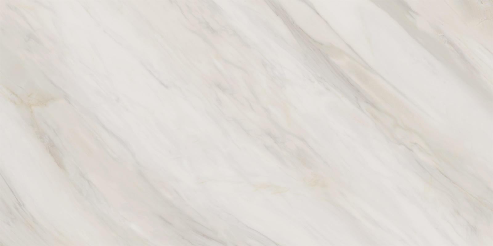 60120caa01_16.jpg