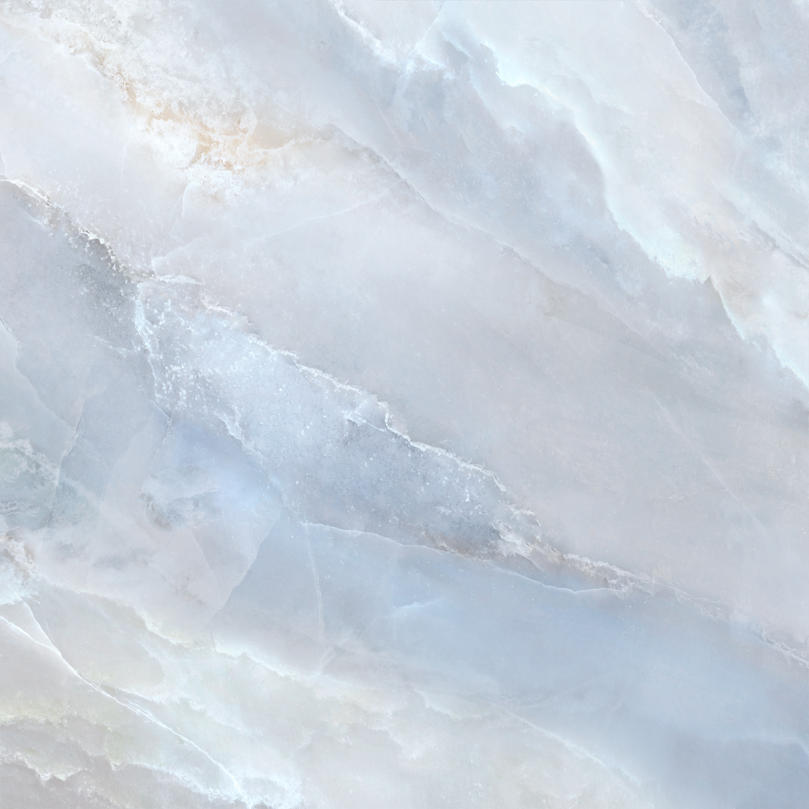6060blm06hg_07.jpg