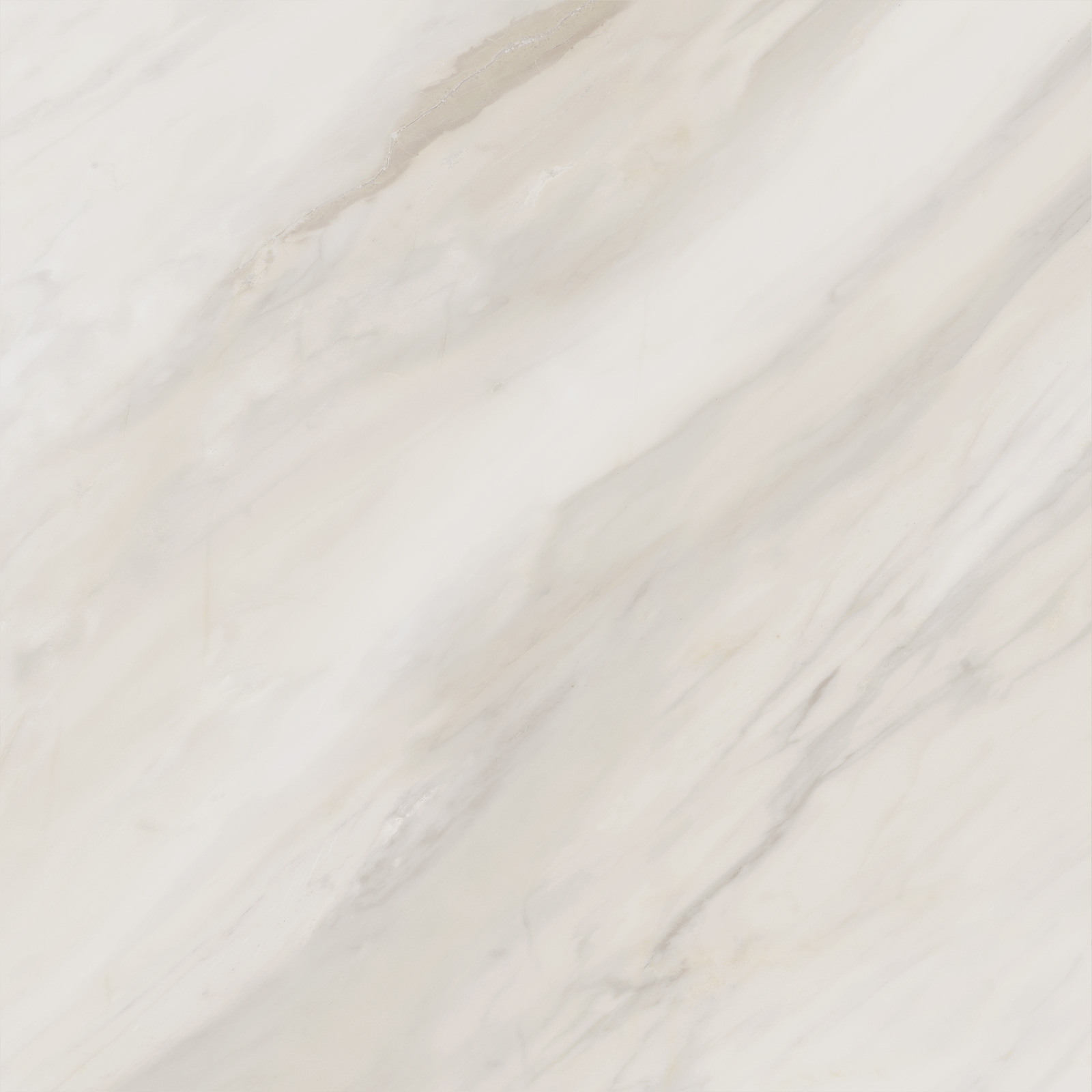 6060caa01_01.jpg