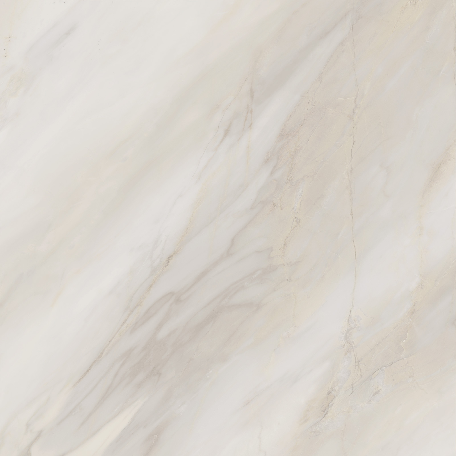 6060caa01_02.jpg