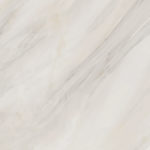 6060caa01_04.jpg