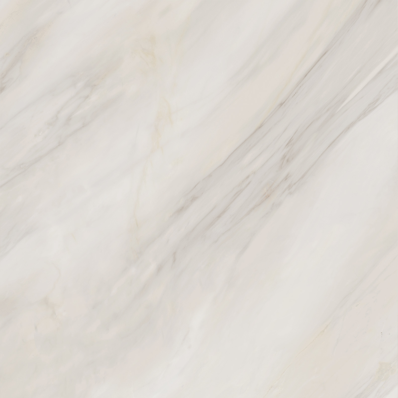 6060caa01_04.jpg