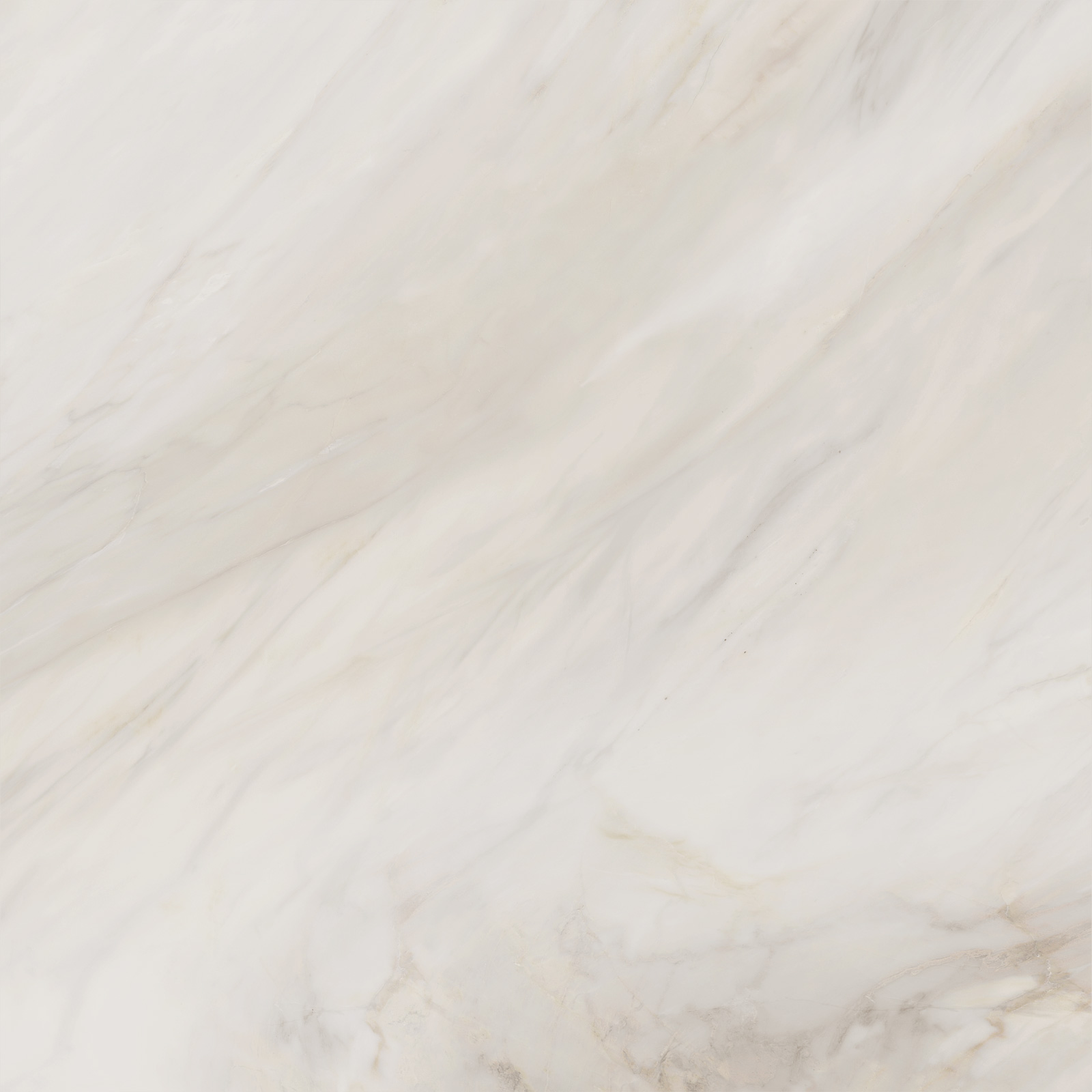 6060caa01_06.jpg