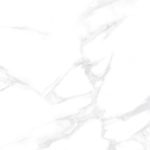 6060dll15p_01.jpg