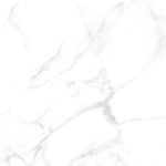 6060dll15p_05.jpg