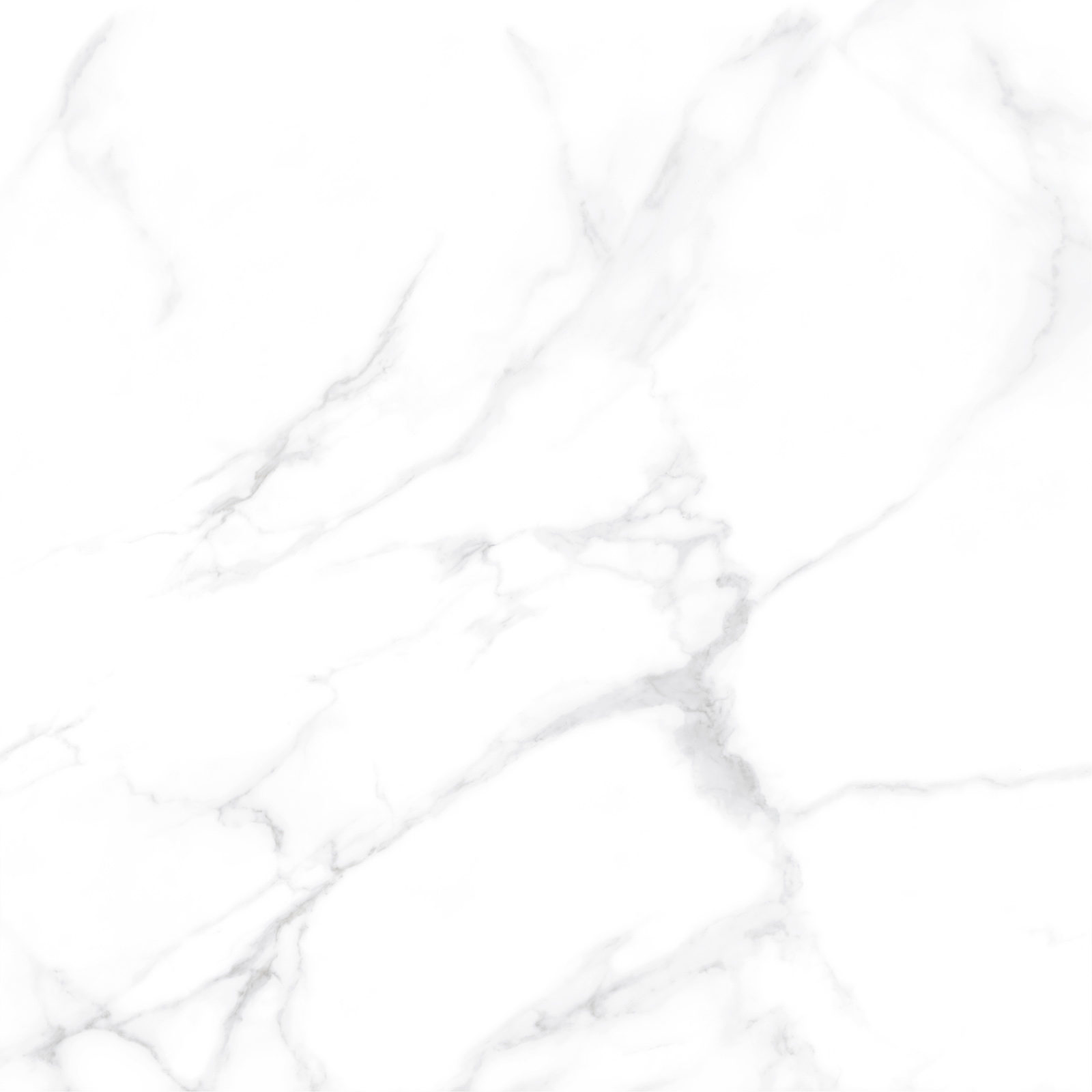 6060dll15p_05.jpg
