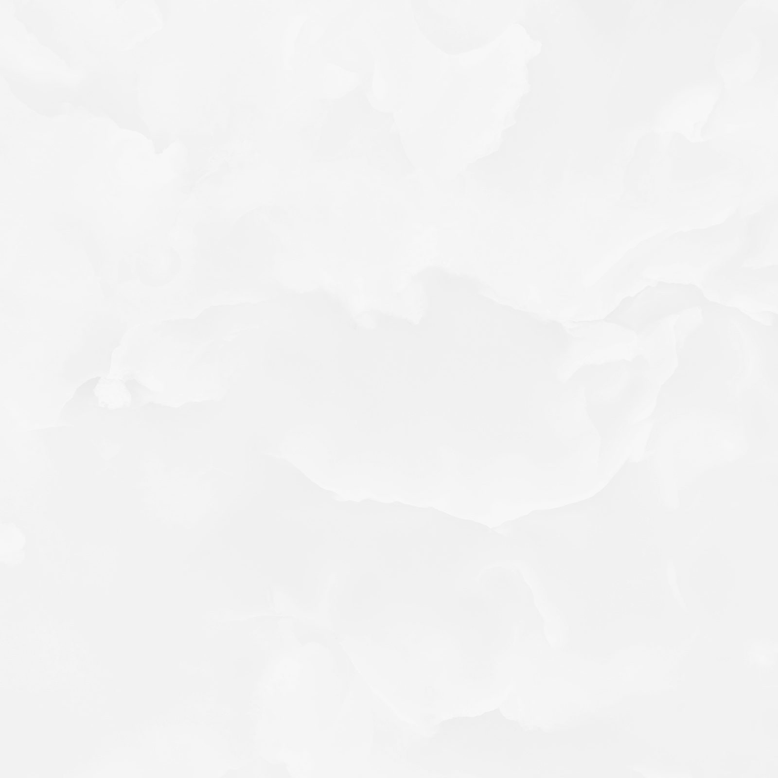 6060ico00p_01.jpg