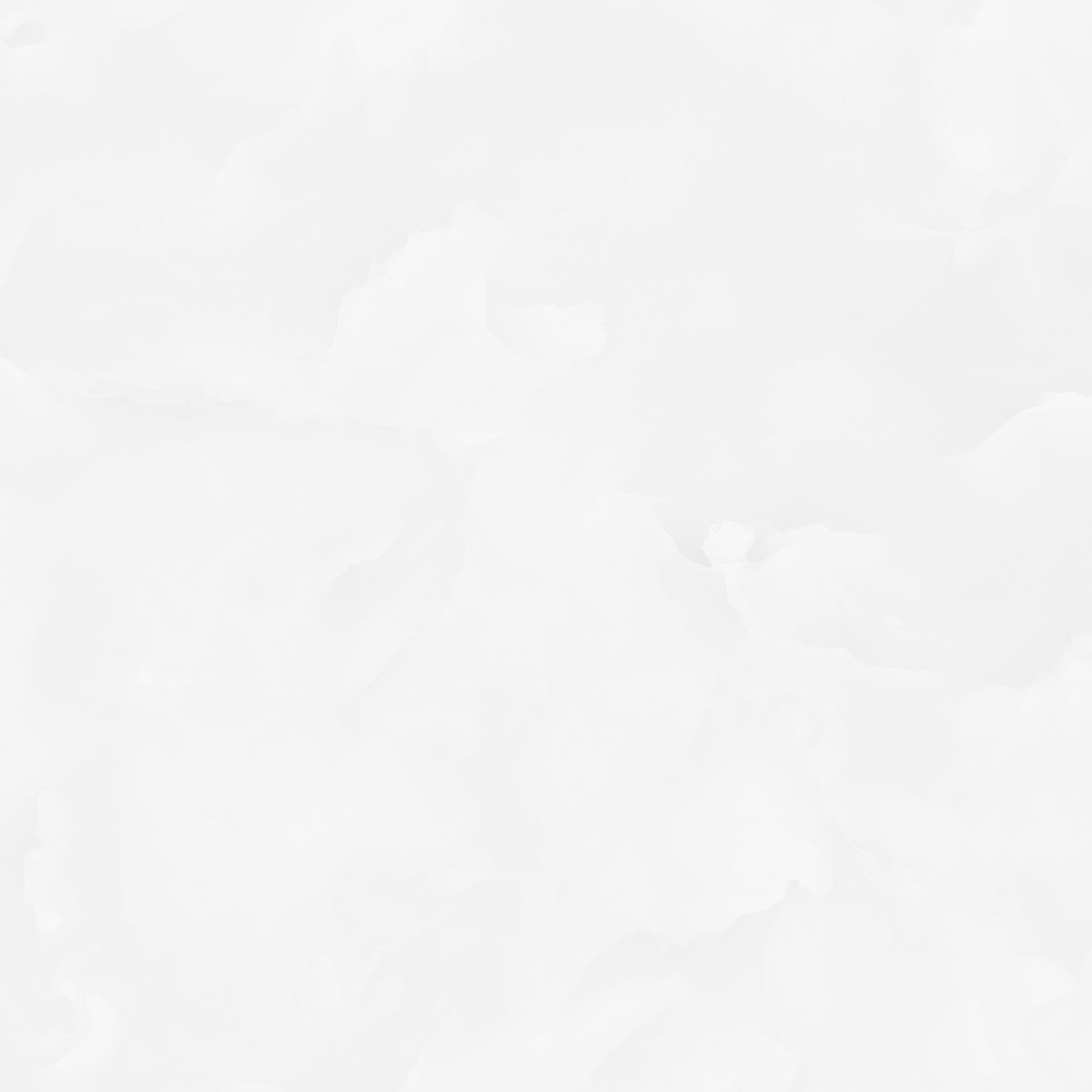 6060ico00p_02.jpg
