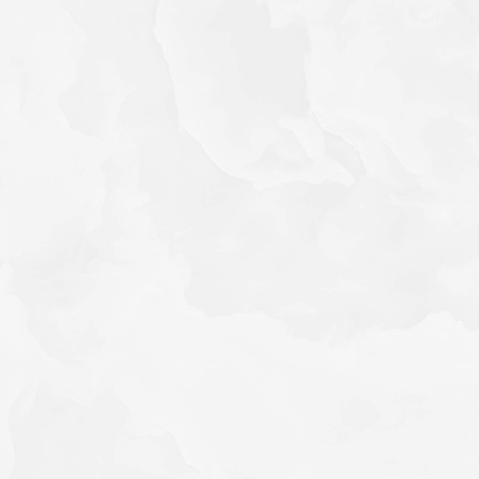 6060ico00p_03.jpg