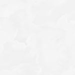 6060ico00p_05.jpg