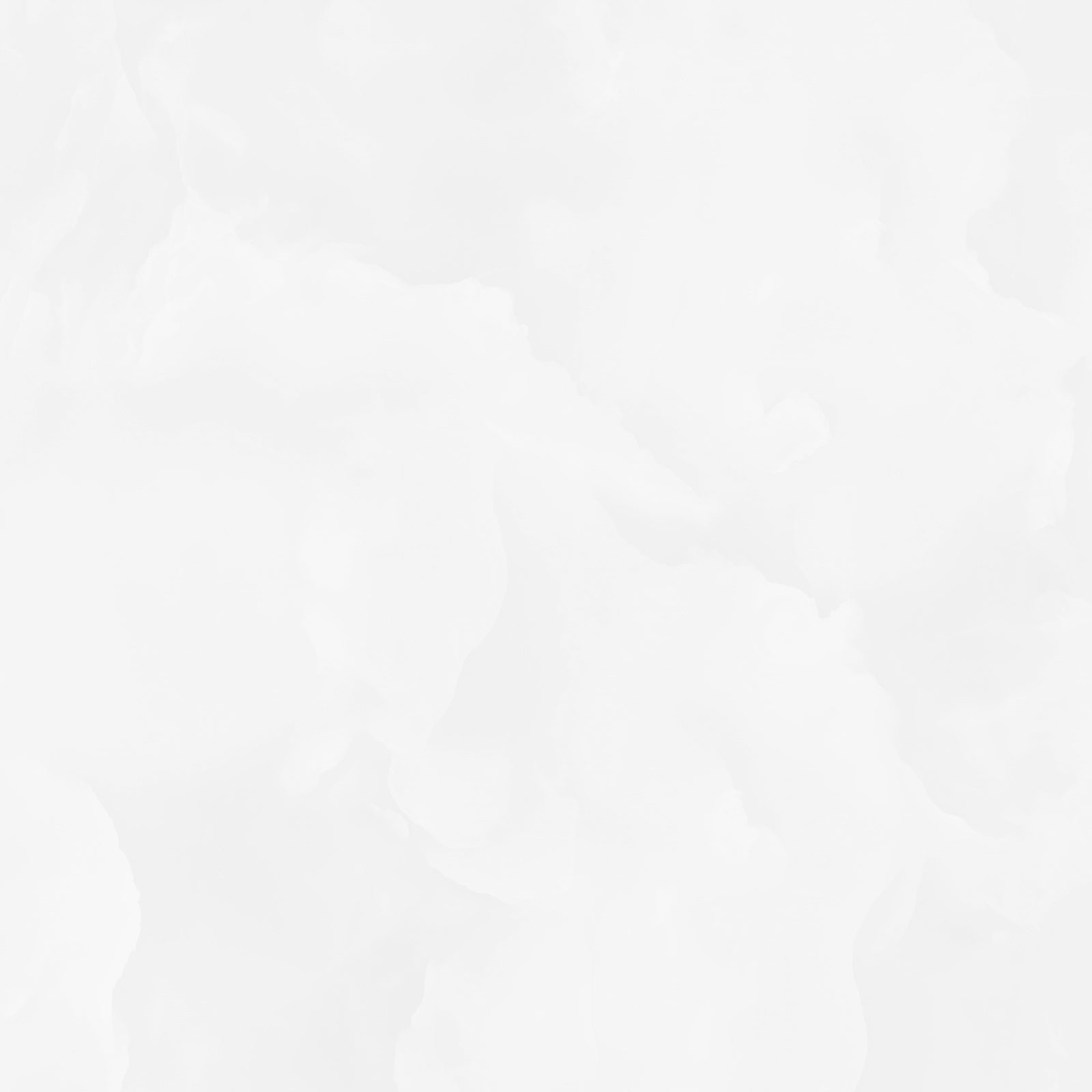 6060ico00p_07.jpg