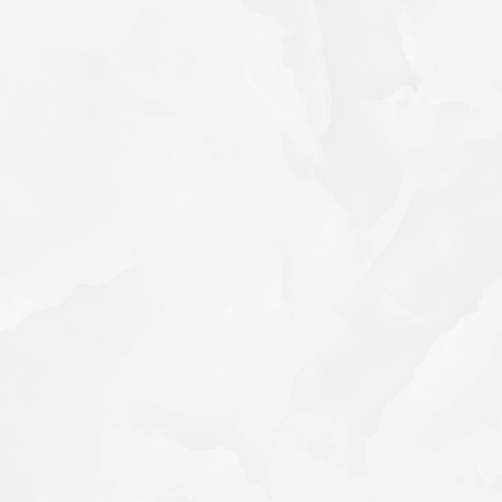 6060ico00p_09.jpg