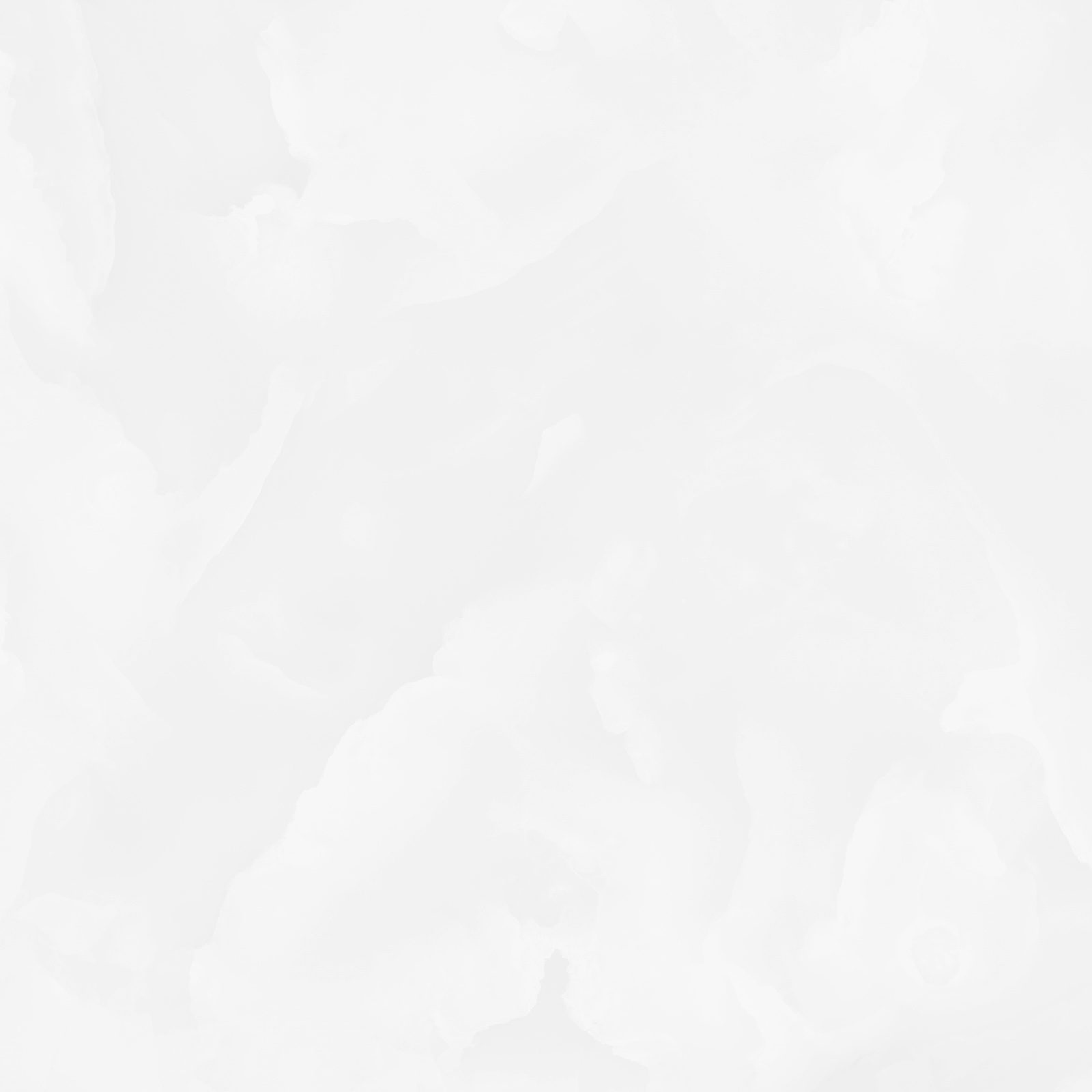 6060ico00p_11.jpg