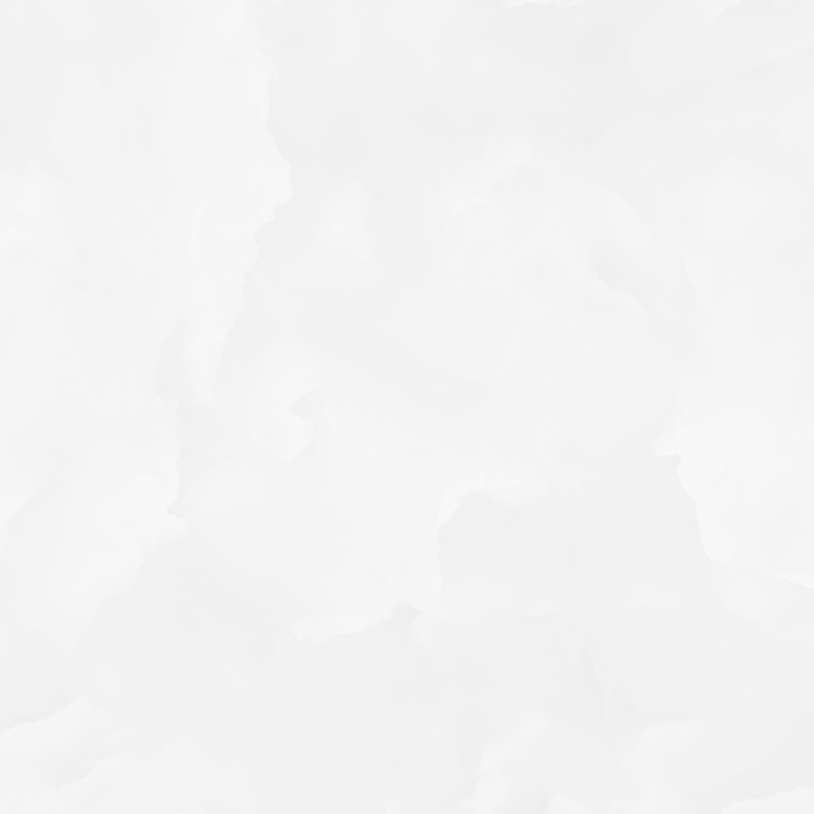 6060ico00p_12.jpg