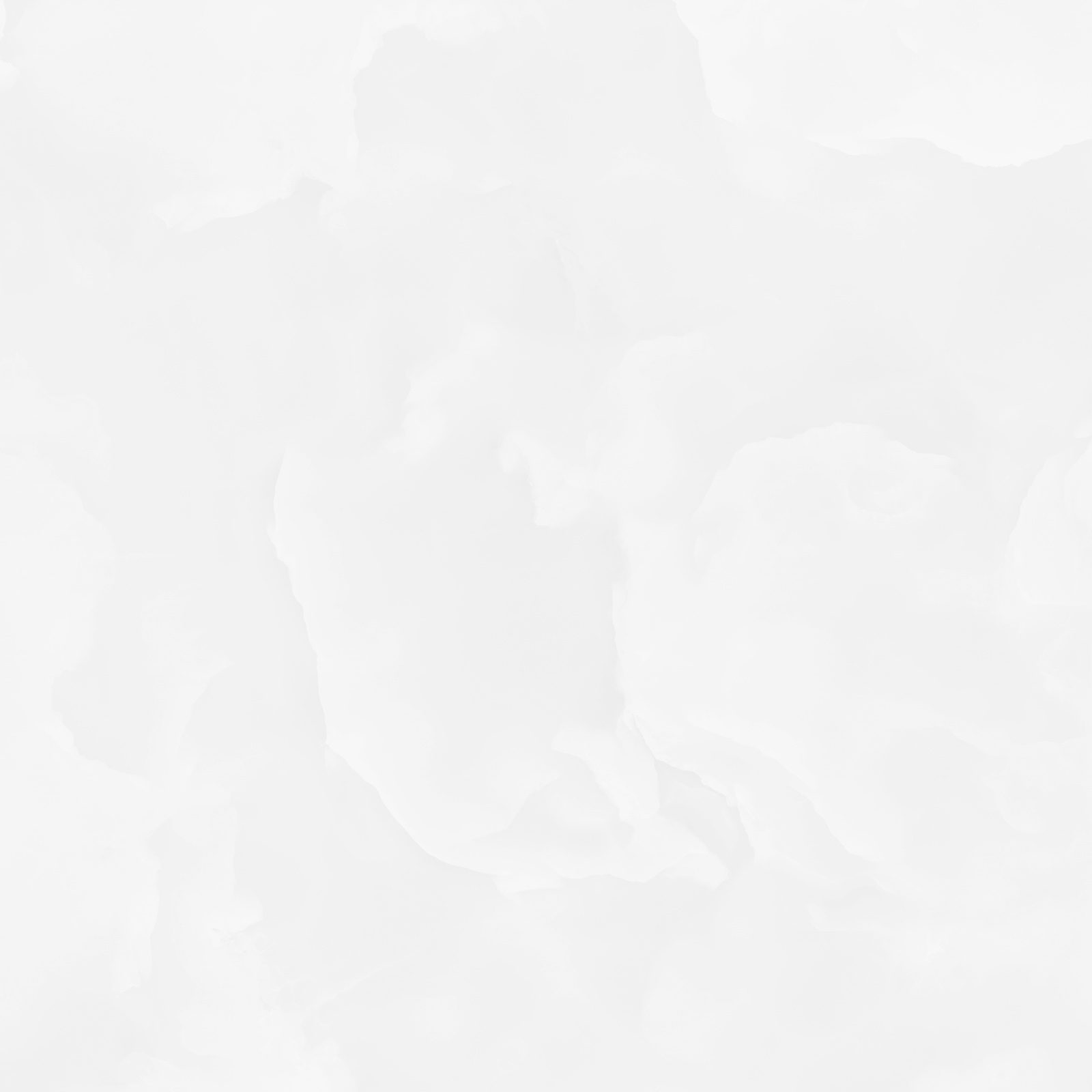 6060ico00p_13.jpg