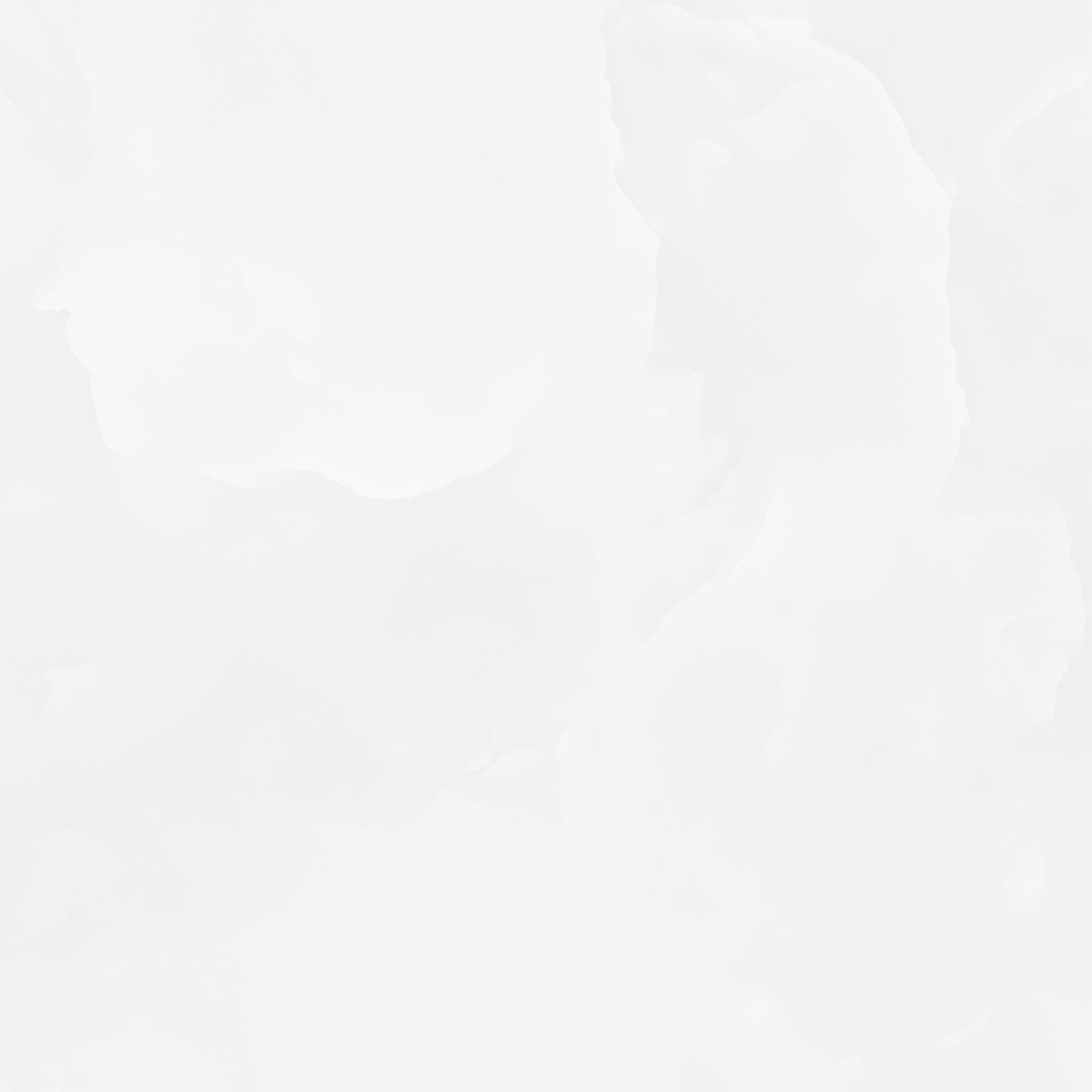 6060ico00p_15.jpg
