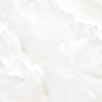 6060tln02p_04.jpg