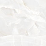 6060tln02p_06.jpg