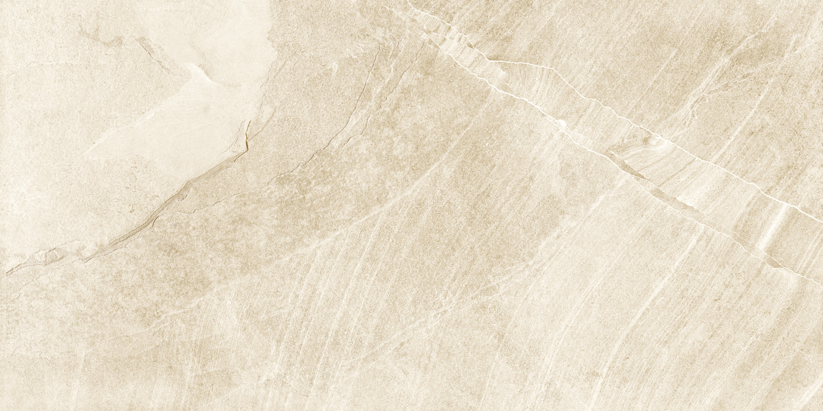 d120201m_01.jpg