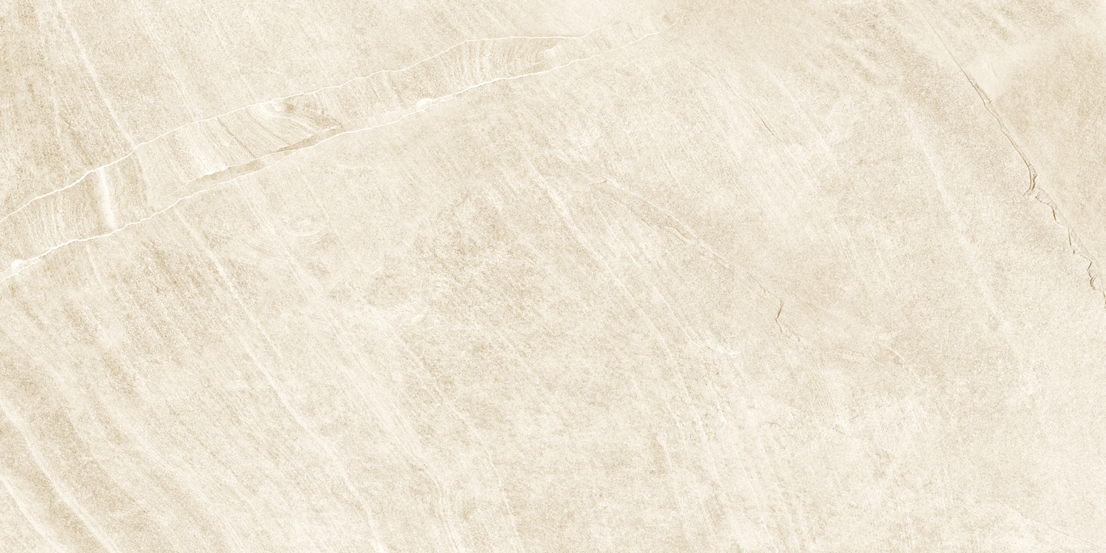 d120201m_10.jpg