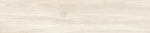 gp2090den05r_08.jpg