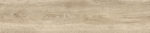 gp2090rel11r_02.jpg