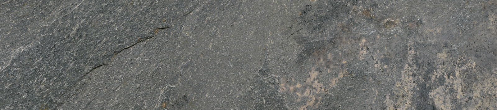 gp2090snn25l_03.jpg