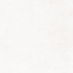 gp40cot01r_04.jpg