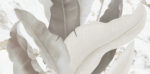 White,Cracked,Marble,Rock,Stone,Marble,Texture,Wallpaper,Background