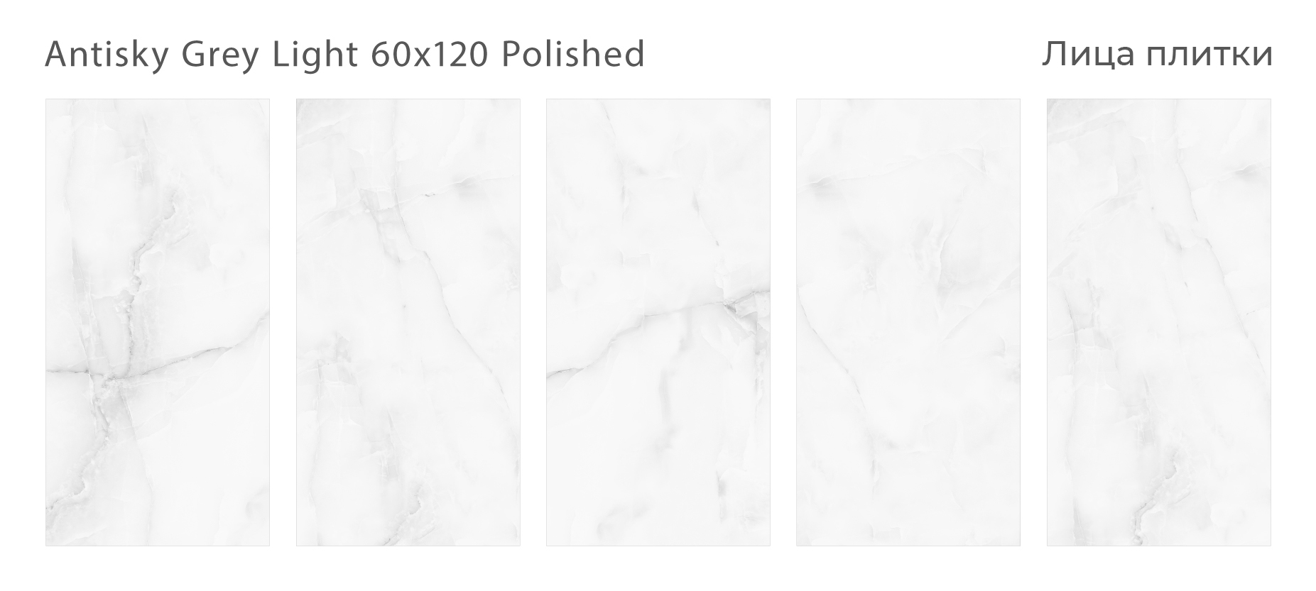 antisky-grey-light-60x120-polished-all.jpg