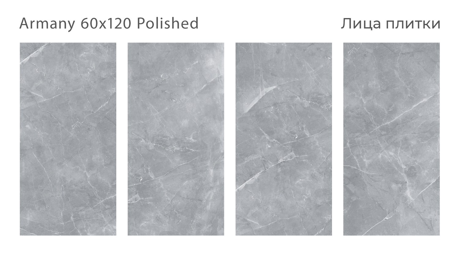 armany-60x120-polished-all.jpg