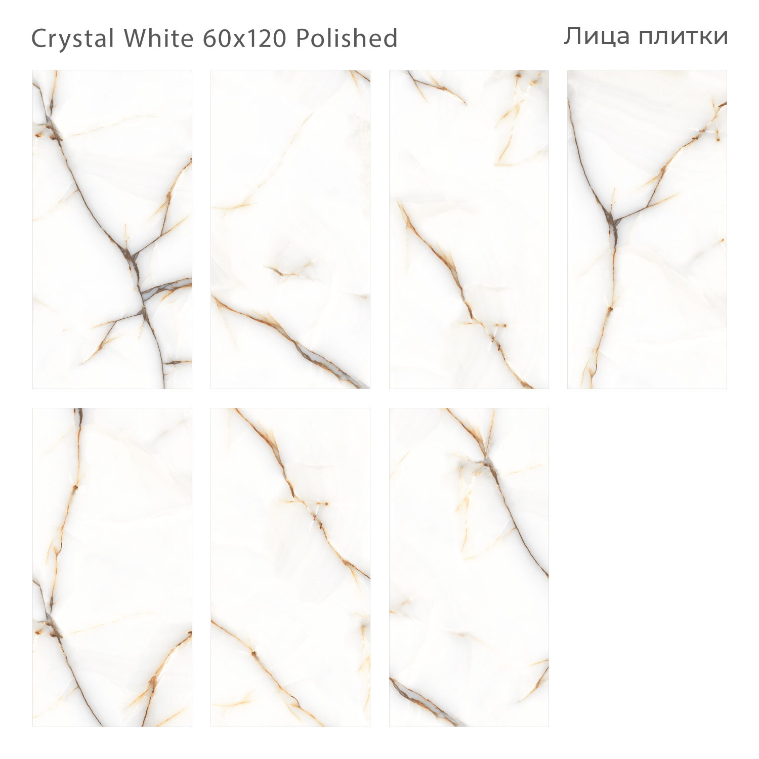 crystal-white-60x120-polished-all.jpg