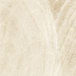 d60201m_02.jpg