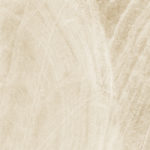 d60202m_01.jpg
