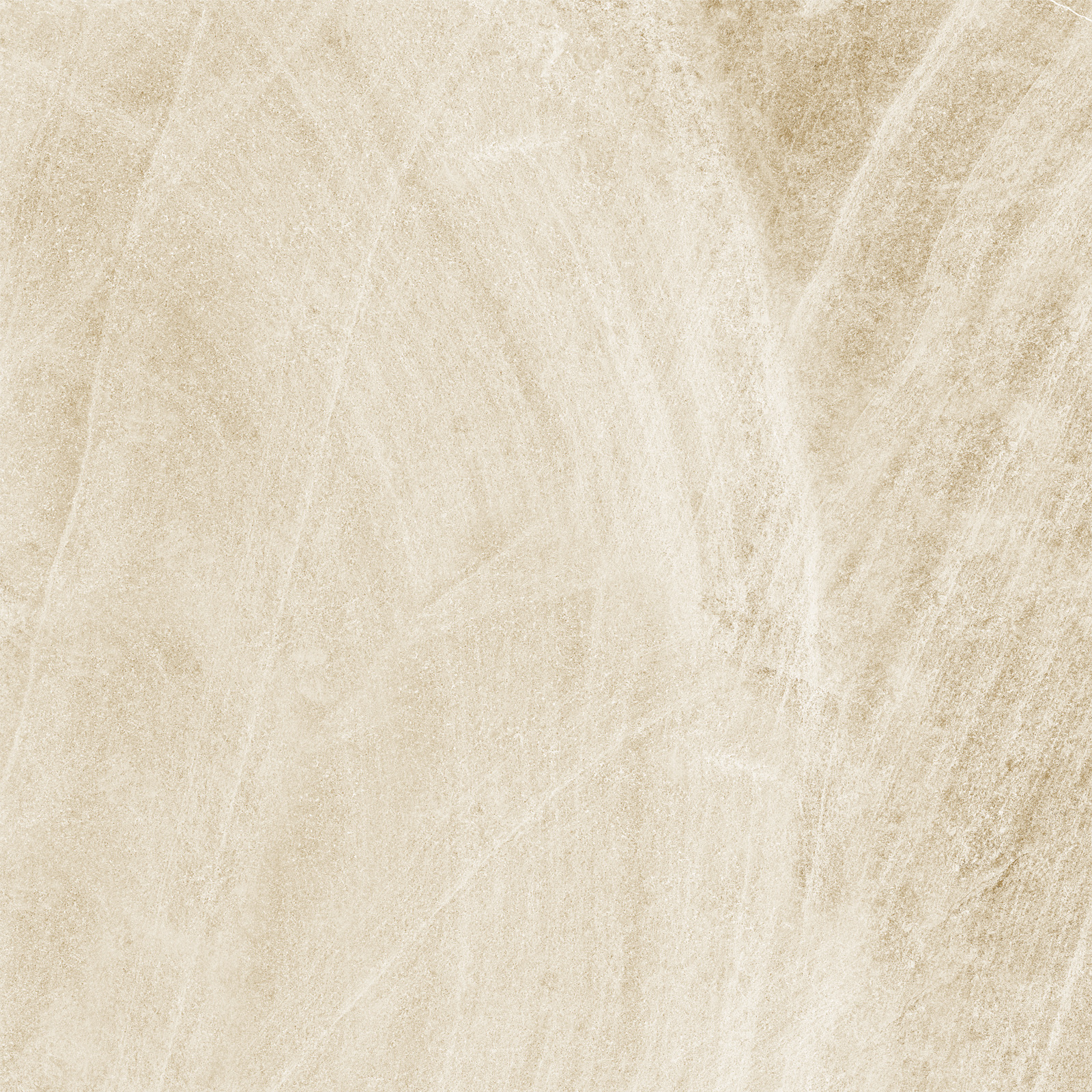 d60202m_01.jpg