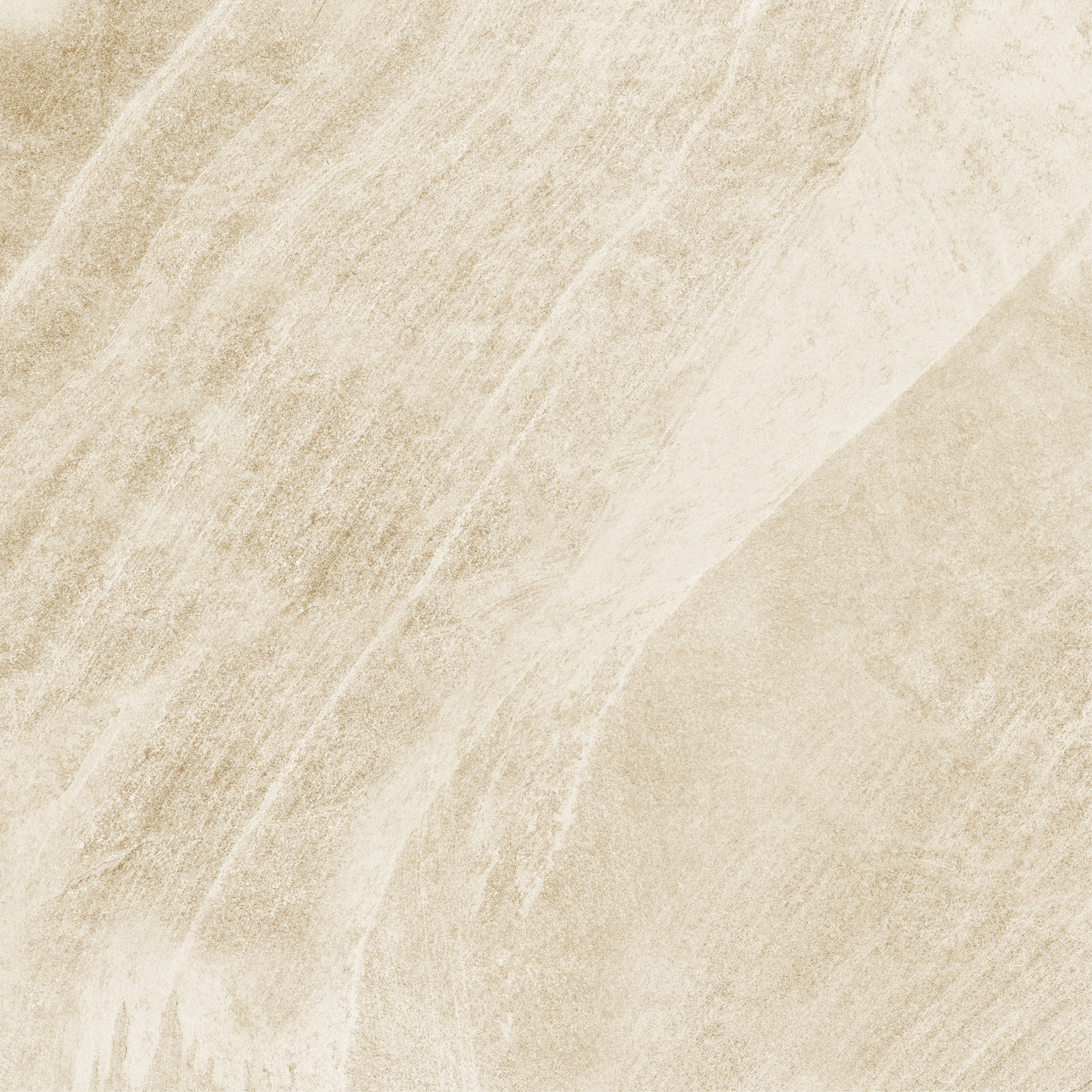 d60202m_03.jpg